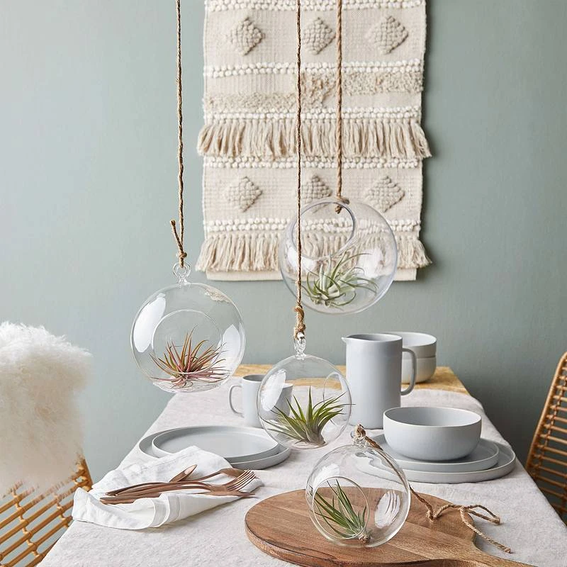 Assiettes CASA NOVA (lot De 4) 15 Assiettes CASA NOVA (lot De 4) – Image 13