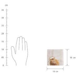 Sous-verre PRECIOUS 13 Sous-verre PRECIOUS -Butlers 1000337011 230623 500 SKETCH DETAILS P000000001000337011 sketch