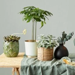 Vase MIO -Butlers 1000337859 220225 021 MOOD DETAILS P000000001000337859 mood