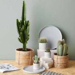 Pot De Fleur EARLY SPRING II -Butlers 1000341413 220317 021 MOOD DETAILS P000000001000341413 mood