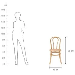 Chaises WIENER MELANGE (lot De 2) 20 Chaises WIENER MELANGE (lot De 2) -Butlers 1000344071 220406 500 SKETCH DETAILS P000000001000344071 sketch