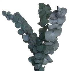 Fleurs Séchées FLOWER MARKET Bouquet -Butlers 1000364948 220802 060 DETAILS P000000001000364948