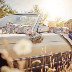 Nappe De Pique-nique BETWEEN FLOWERS 20 Nappe De Pique-nique BETWEEN FLOWERS -Butlers 1000399329 230801 025 MOOD DETAILS P000000001000399329 mood